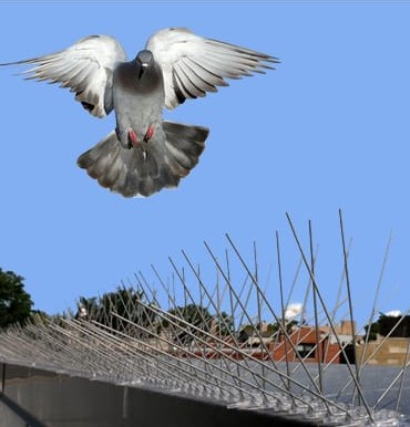 Safety Net Installation